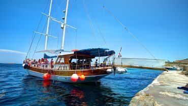 Seahorse Cruises Malta