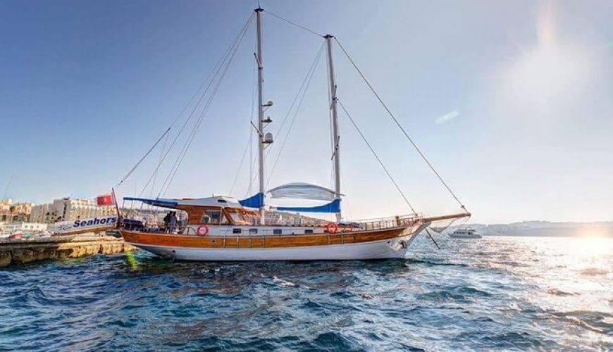 seahorse cruises malta