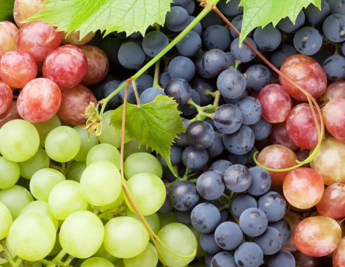 colorful grapes with leaves