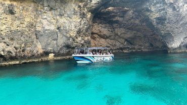Sea Life Cruises
