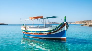 Sea Lion Cruises